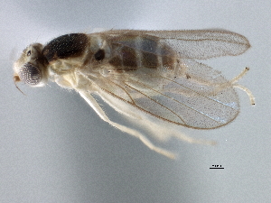  ( - CCDB-21328-E07)  @11 [ ] CreativeCommons - Attribution (2014) CBG Photography Group Centre for Biodiversity Genomics