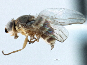  ( - CCDB-21328-F10)  @14 [ ] CreativeCommons - Attribution (2014) CBG Photography Group Centre for Biodiversity Genomics
