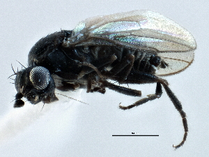  ( - CCDB-21403-A05)  @11 [ ] CreativeCommons - Attribution (2014) CBG Photography Group Centre for Biodiversity Genomics
