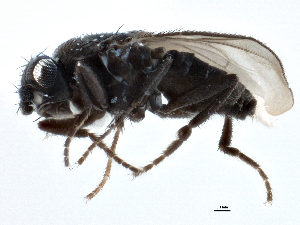 ( - CCDB-21403-A10)  @11 [ ] CreativeCommons - Attribution (2014) CBG Photography Group Centre for Biodiversity Genomics