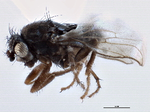  ( - CCDB-21403-B01)  @14 [ ] CreativeCommons - Attribution (2014) CBG Photography Group Centre for Biodiversity Genomics
