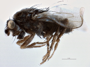  ( - CCDB-21403-B02)  @14 [ ] CreativeCommons - Attribution (2014) CBG Photography Group Centre for Biodiversity Genomics