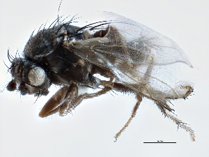  ( - CCDB-21403-B04)  @11 [ ] CreativeCommons - Attribution (2014) CBG Photography Group Centre for Biodiversity Genomics