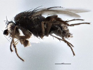  ( - CCDB-21403-B07)  @14 [ ] CreativeCommons - Attribution (2014) CBG Photography Group Centre for Biodiversity Genomics