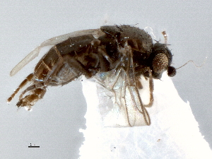  ( - CCDB-21403-B11)  @11 [ ] CreativeCommons - Attribution (2014) CBG Photography Group Centre for Biodiversity Genomics