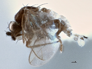  ( - CCDB-21403-B12)  @11 [ ] CreativeCommons - Attribution (2014) CBG Photography Group Centre for Biodiversity Genomics