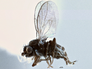  ( - CCDB-21403-C02)  @14 [ ] CreativeCommons - Attribution (2014) CBG Photography Group Centre for Biodiversity Genomics