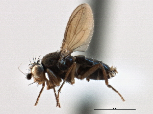  ( - CCDB-21403-D03)  @11 [ ] CreativeCommons - Attribution (2014) CBG Photography Group Centre for Biodiversity Genomics