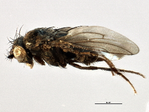  ( - CCDB-21403-E04)  @11 [ ] CreativeCommons - Attribution (2014) CBG Photography Group Centre for Biodiversity Genomics