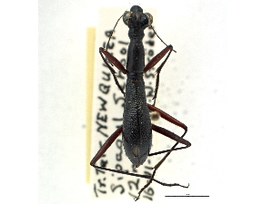  ( - CCDB-21415-B09)  @11 [ ] CreativeCommons - Attribution (2014) CBG Photography Group Centre for Biodiversity Genomics