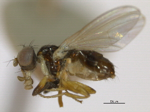  ( - CCDB-21423-F04)  @13 [ ] CreativeCommons - Attribution (2013) CBG Photography Group Centre for Biodiversity Genomics