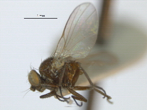  ( - CCDB-21422-A04)  @11 [ ] CreativeCommons - Attribution (2014) CBG Photography Group Centre for Biodiversity Genomics