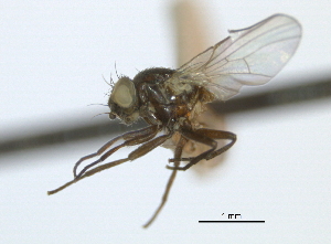  ( - CCDB-21422-A06)  @11 [ ] CreativeCommons - Attribution (2014) CBG Photography Group Centre for Biodiversity Genomics