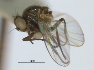  ( - CCDB-21422-A07)  @12 [ ] CreativeCommons - Attribution (2014) CBG Photography Group Centre for Biodiversity Genomics