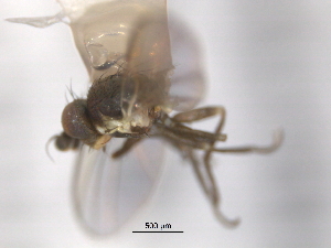  ( - CCDB-21422-F04)  @11 [ ] CreativeCommons - Attribution (2014) CBG Photography Group Centre for Biodiversity Genomics