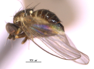  ( - CCDB-21422-F07)  @11 [ ] CreativeCommons - Attribution (2014) CBG Photography Group Centre for Biodiversity Genomics