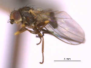  ( - CCDB-21422-G09)  @11 [ ] CreativeCommons - Attribution (2014) CBG Photography Group Centre for Biodiversity Genomics