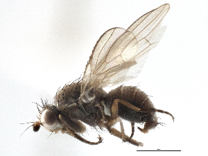  ( - CCDB-21401-E02)  @11 [ ] CreativeCommons - Attribution (2014) CBG Photography Group Centre for Biodiversity Genomics