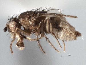  ( - CCDB-21402-B09)  @11 [ ] CreativeCommons - Attribution (2014) CBG Photography Group Centre for Biodiversity Genomics