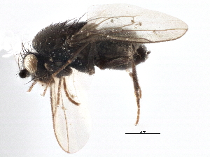  ( - CCDB-21402-D08)  @11 [ ] CreativeCommons - Attribution (2014) CBG Photography Group Centre for Biodiversity Genomics