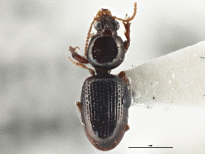  ( - CCDB-21406-G05)  @11 [ ] CreativeCommons - Attribution (2014) CBG Photography Group Centre for Biodiversity Genomics