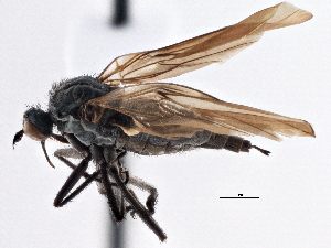  ( - CCDB-21421-G06)  @12 [ ] CreativeCommons - Attribution (2014) CBG Photography Group Centre for Biodiversity Genomics