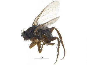 ( - CCDB-23301-F12)  @14 [ ] CreativeCommons - Attribution (2015) CBG Photography Group Centre for Biodiversity Genomics