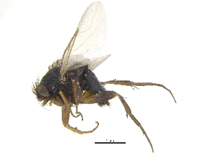  ( - CCDB-23301-G01)  @13 [ ] CreativeCommons - Attribution (2015) CBG Photography Group Centre for Biodiversity Genomics