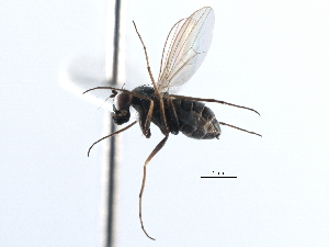  ( - CCDB-23302-F06)  @11 [ ] CreativeCommons - Attribution (2015) CBG Photography Group Centre for Biodiversity Genomics