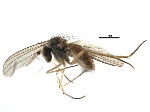  ( - CCDB-23306-B10)  @11 [ ] CreativeCommons - Attribution (2015) CBG Photography Group Centre for Biodiversity Genomics