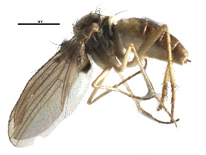  ( - CCDB-23306-B11)  @11 [ ] CreativeCommons - Attribution (2015) CBG Photography Group Centre for Biodiversity Genomics