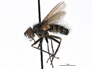  ( - CCDB-23505-F12)  @14 [ ] CreativeCommons - Attribution (2015) CBG Photography Group Centre for Biodiversity Genomics