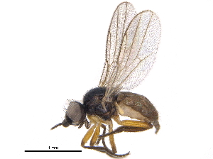  ( - CCDB-23515-E10)  @15 [ ] CreativeCommons - Attribution (2015) CBG Photography Group Centre for Biodiversity Genomics