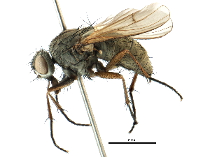  ( - CCDB-23518-H04)  @11 [ ] CreativeCommons - Attribution (2015) CBG Photography Group Centre for Biodiversity Genomics