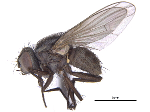  ( - CCDB-23519-B10)  @11 [ ] CreativeCommons - Attribution (2015) CBG Photography Group Centre for Biodiversity Genomics