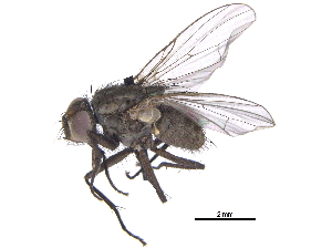  ( - CCDB-23519-B11)  @11 [ ] CreativeCommons - Attribution (2015) CBG Photography Group Centre for Biodiversity Genomics