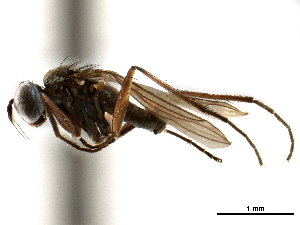  ( - CCDB-33855-B11)  @13 [ ] CreativeCommons - Attribution (2019) CBG Photography Group Centre for Biodiversity Genomics