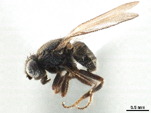  ( - CCDB-33858-B03)  @11 [ ] CreativeCommons - Attribution (2019) CBG Photography Group Centre for Biodiversity Genomics