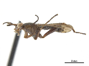  ( - CCDB-33860-H04)  @11 [ ] CreativeCommons - Attribution (2019) CBG Photography Group Centre for Biodiversity Genomics