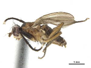  ( - CCDB-33860-H06)  @11 [ ] CreativeCommons - Attribution (2019) CBG Photography Group Centre for Biodiversity Genomics
