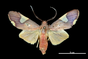  ( - MAL-03364)  @14 [ ] Unspecified (default): All Rights Reserved  Unspecified Unspecified