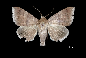  ( - MAL-03297)  @14 [ ] Unspecified (default): All Rights Reserved  Unspecified Unspecified