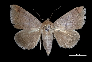  ( - MAL-03301)  @14 [ ] Unspecified (default): All Rights Reserved  Unspecified Unspecified