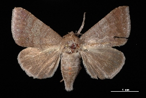  ( - MAL-03160)  @14 [ ] Unspecified (default): All Rights Reserved  Unspecified Unspecified