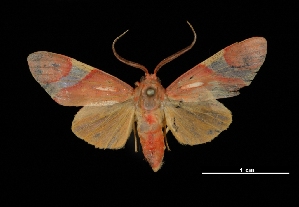  ( - MAL-03426)  @14 [ ] Unspecified (default): All Rights Reserved  Unspecified Unspecified