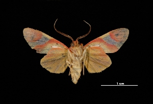  ( - MAL-03426)  @14 [ ] Unspecified (default): All Rights Reserved  Unspecified Unspecified