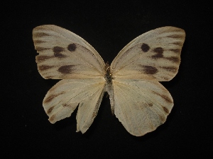  ( - MAL-02229)  @13 [ ] Unspecified (default): All Rights Reserved  Unspecified Unspecified
