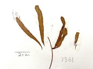  ( - GWS007361)  @11 [ ] Unspecified (default): All Rights Reserved  Unspecified Unspecified