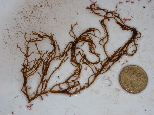  ( - GWS028675)  @11 [ ] Unspecified (default): All Rights Reserved  Unspecified Unspecified