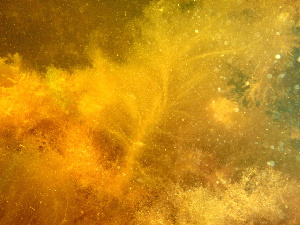  ( - GWS032389)  @11 [ ] Unspecified (default): All Rights Reserved  Unspecified Unspecified